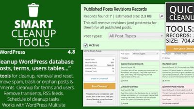 Smart Cleanup Tools – Plugin for WordPress v.5.0 Free Download