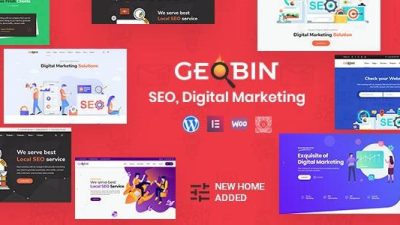 GeoBin Digital Marketing Agency, SEO WP Theme v.2.7.1 Download