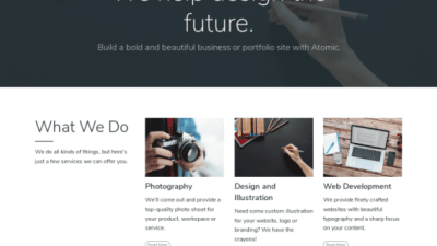 Array Themes Atomic WordPress Theme 破解版下载