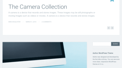 Array Themes Author WordPress Theme 破解版下载