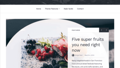 Array Themes Baseline WordPress Theme 破解版下载