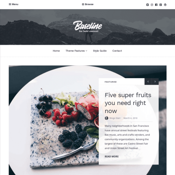 Array Themes Baseline WordPress Theme 破解版下载