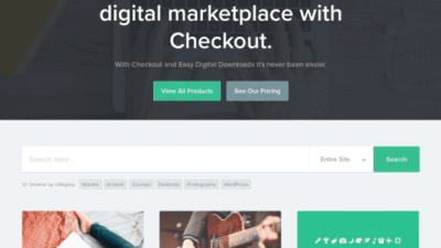 Array Themes Checkout WordPress Theme 破解版下载