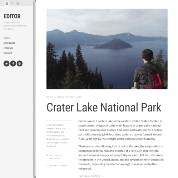 Array Themes Editor WordPress Theme 破解版下载