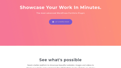 WP Portfolio by Brainstorm Force 破解版下载