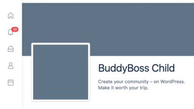 BuddyBoss Child 破解版下载