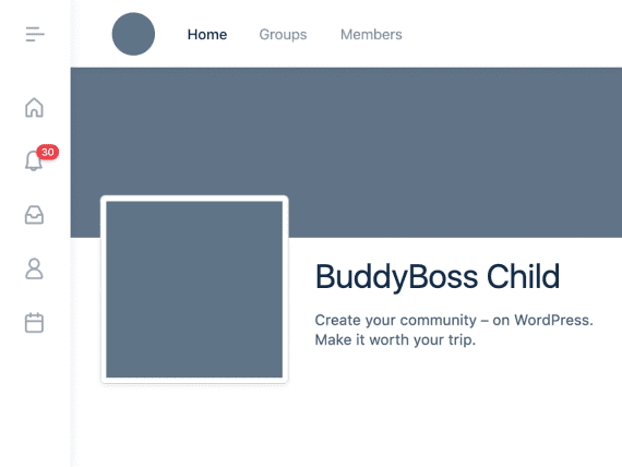 BuddyBoss Child 破解版下载