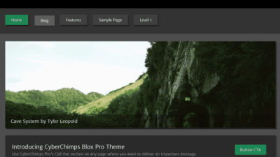 CyberChimps – Blox Pro 破解版下载