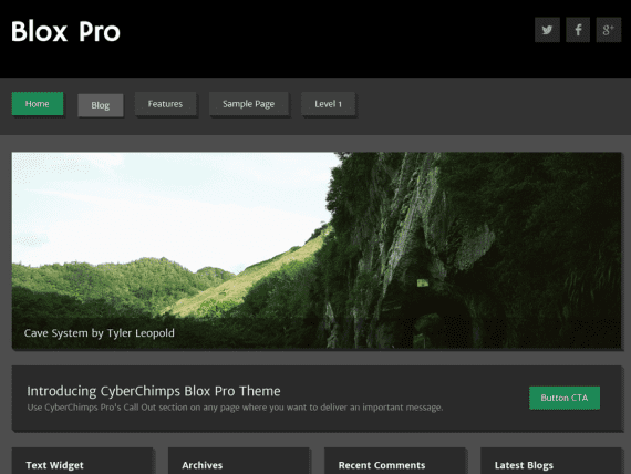 CyberChimps – Blox Pro 破解版下载