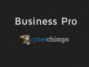 CyberChimps – Business Pro 破解版下载