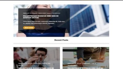 CyberChimps – DroidPress Premium 破解版下载