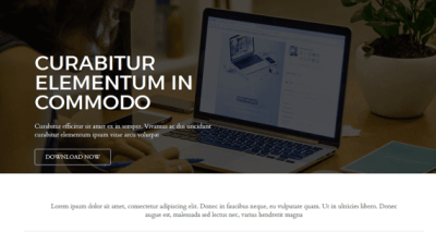 CyberChimps – Responsive Business 破解版下载