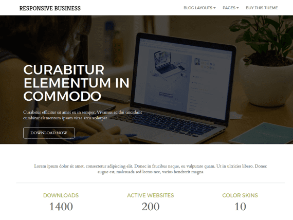 CyberChimps – Responsive Business 破解版下载