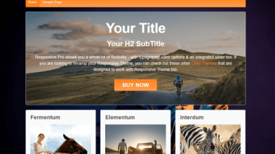 CyberChimps – Responsive Pro 破解版下载