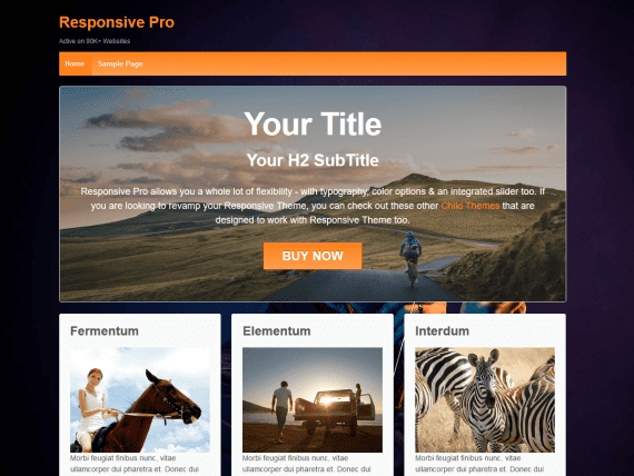 CyberChimps – Responsive Pro 破解版下载