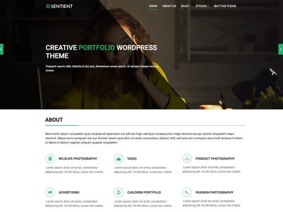 CyberChimps – Sentient 破解版下载