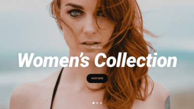 CSS Igniter Amaryllis eCommerce Theme 破解版下载