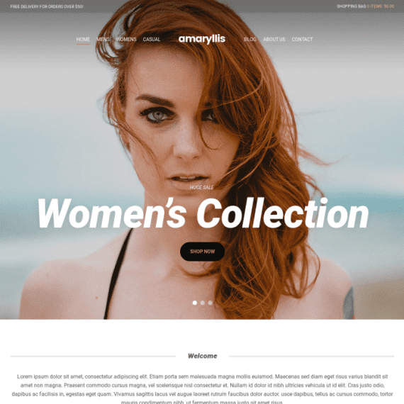 CSS Igniter Amaryllis eCommerce Theme 破解版下载