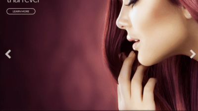 CSS Igniter Beaute Health & Beauty WordPress Theme 破解版下载