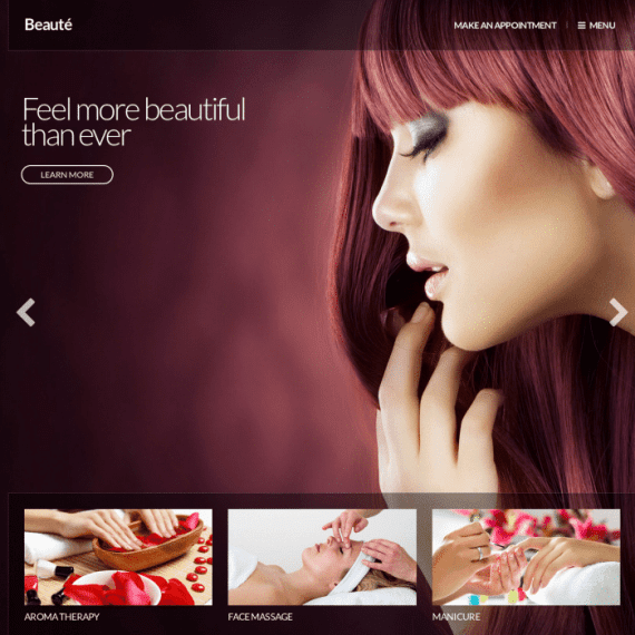 CSS Igniter Beaute Health & Beauty WordPress Theme 破解版下载
