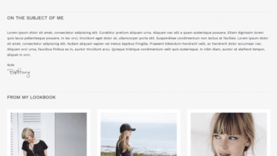 CSS Igniter Brittany blog WordPress Theme 破解版下载