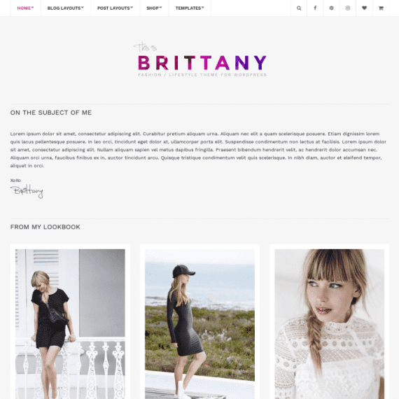 CSS Igniter Brittany blog WordPress Theme 破解版下载