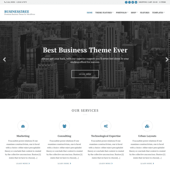 CSS Igniter Business3ree Business / Portfolio WordPress Theme 破解版下载