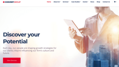 CSS Igniter Convert Business Theme 破解版下载