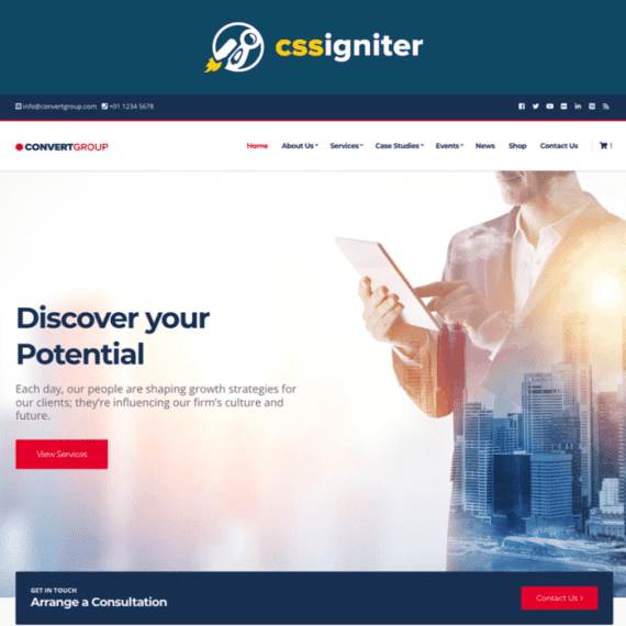 CSS Igniter Convert Business Theme 破解版下载