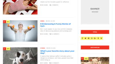 CSS Igniter Doberman Viral Magazine WordPress Theme 破解版下载