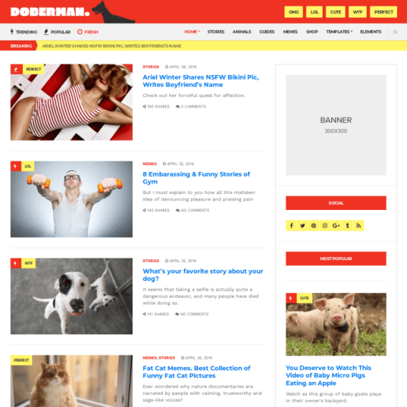 CSS Igniter Doberman Viral Magazine WordPress Theme 破解版下载