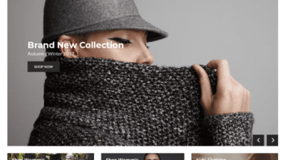 CSS Igniter Neto WooCommerce Theme 破解版下载