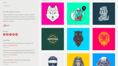 CSS Igniter Nico Portfolio WordPress Theme 破解版下载