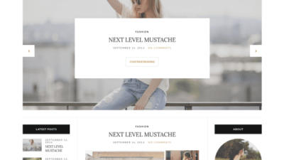 CSS Igniter Olsen Blogging WordPress Theme 破解版下载