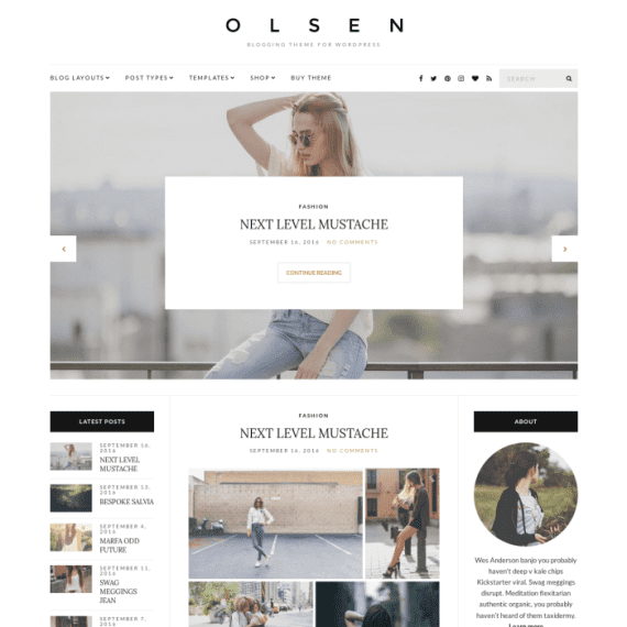 CSS Igniter Olsen Blogging WordPress Theme 破解版下载
