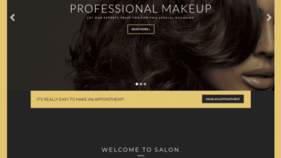 CSS Igniter Salon Health & Beauty WordPress Theme 破解版下载