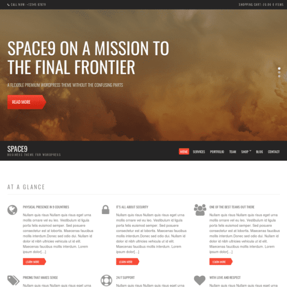 CSS Igniter Space9 Business / Portfolio WordPress Theme 破解版下载