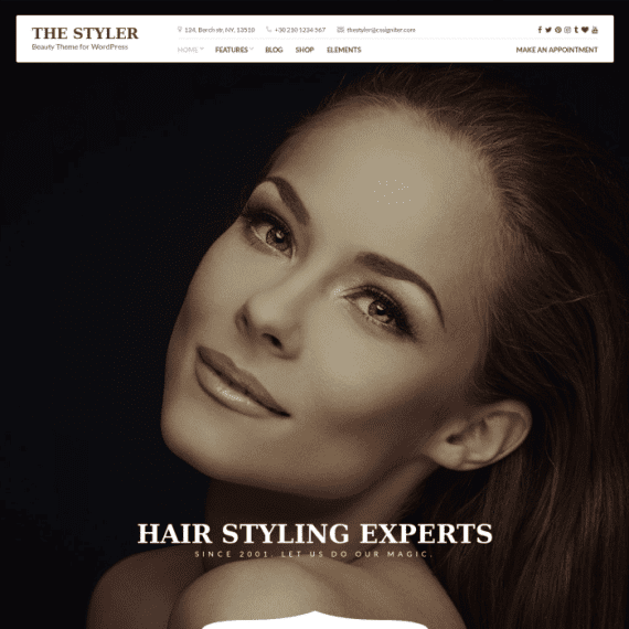 CSS Igniter The Styler Beauty WordPress Theme 破解版下载