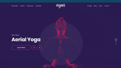 CSS Igniter Vigour Theme 破解版下载