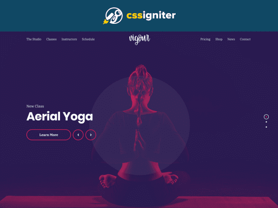 CSS Igniter Vigour Theme 破解版下载