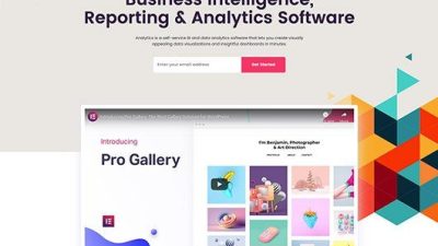 Elementorism Analytics Landing Page 破解版下载