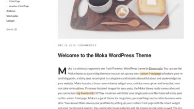 ElmaStudio Moka WordPress Theme 破解版下载