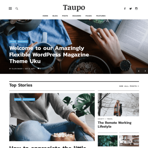 ElmaStudio Uku WordPress Theme 破解版下载