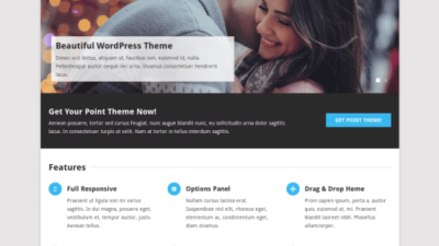 MyThemeShop Point Pro WordPress Theme 破解版下载
