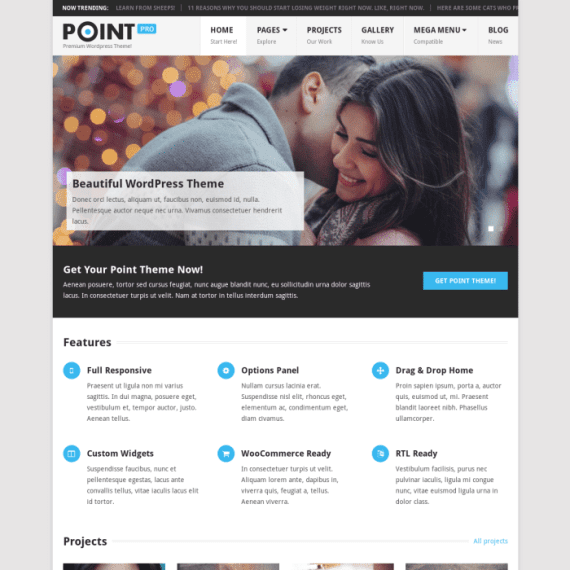 MyThemeShop Point Pro WordPress Theme 破解版下载