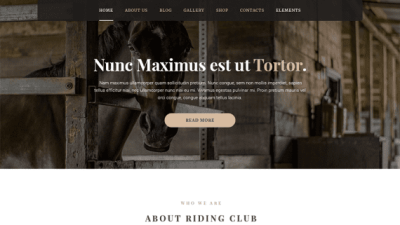MyThemeShop Saddle WordPress Theme 破解版下载