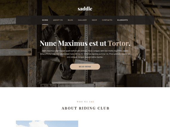 MyThemeShop Saddle WordPress Theme 破解版下载
