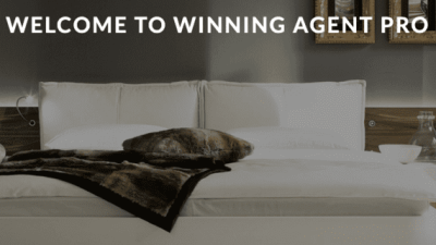 Winning Agent Pro Theme 破解版下载