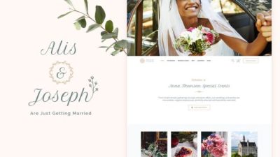Alis – Wedding Planner Theme 破解版下载