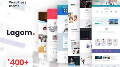 Lagom – Multi Concept WordPress Theme 破解版下载